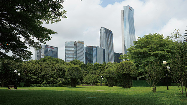 Shenzhen Cityscape